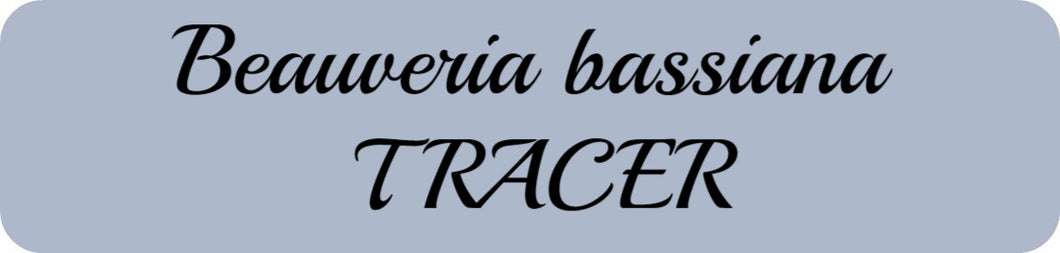 Beauveria bassiana TRACER