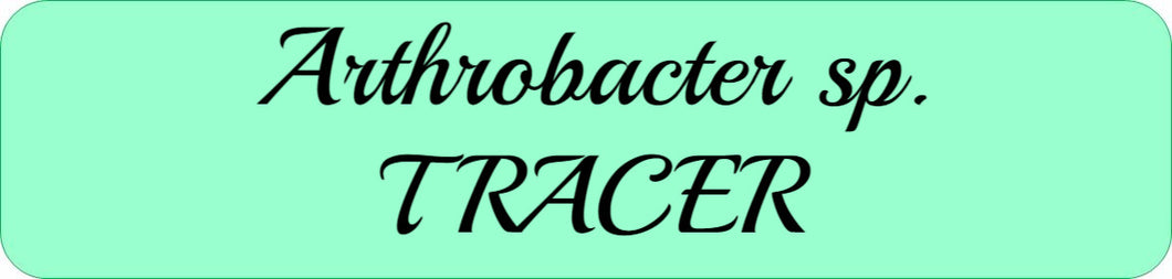 Arthrobacter sp. TRACER