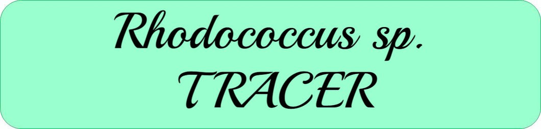 Rhodococcus sp. TRACER