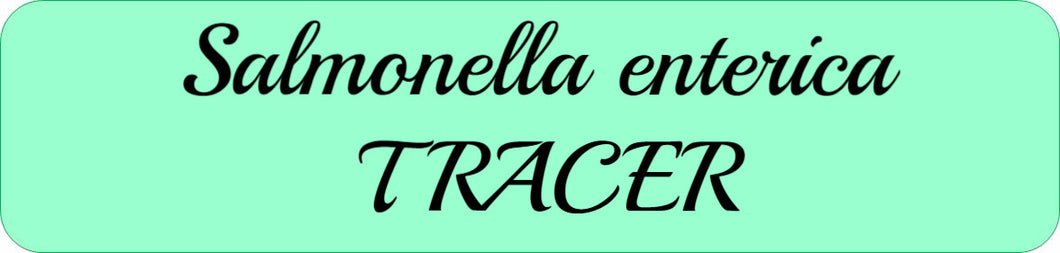 Salmonella enterica TRACER
