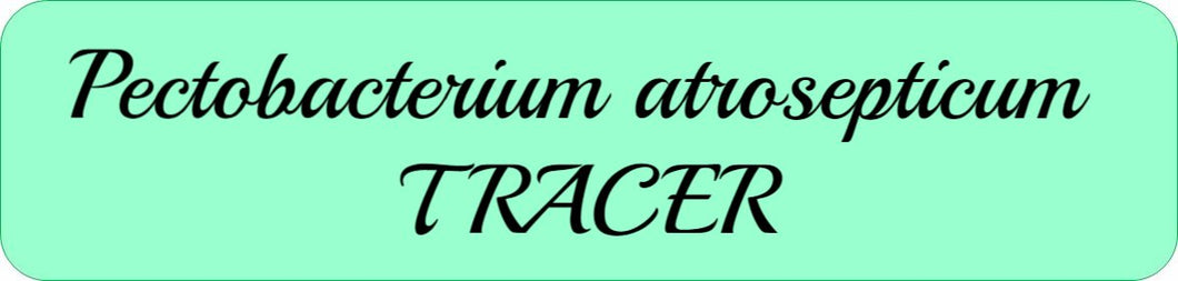 Pectobacterium atrosepticum TRACER