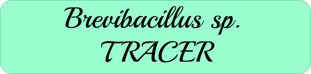 Brevibacillus sp. TRACER