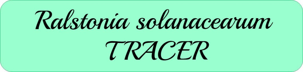 Ralstonia solanacearum TRACER