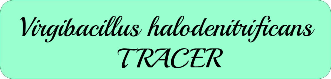 Virgibacillus halodenitrificans TRACER